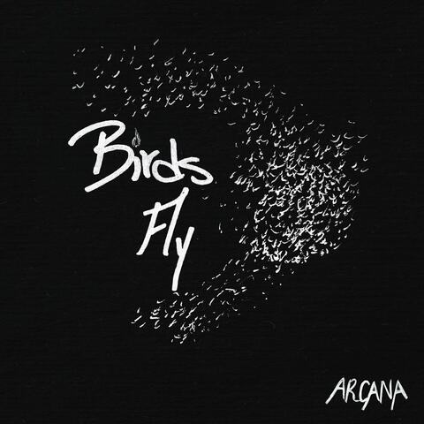 Birds Fly