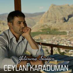 Yalanımış sevdiğim