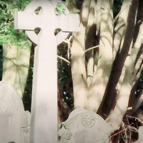 hallowed