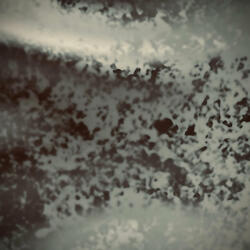 Rainfall
