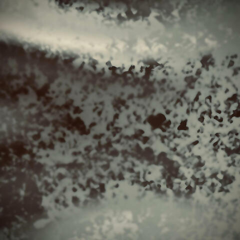 Rainfall