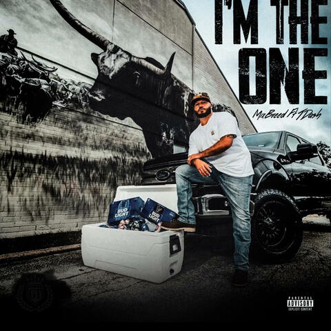 Mixbreed (feat. T Dash)