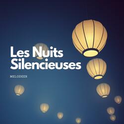Les Nuits Silencieuses