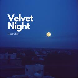 Velvet Night