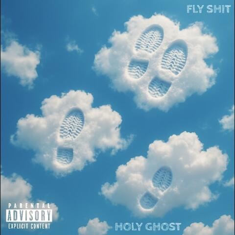 Fly Shit