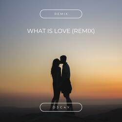 What is Love (Rock n Roll Again) (Remix)