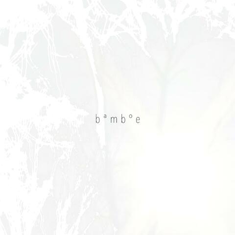 bamboe