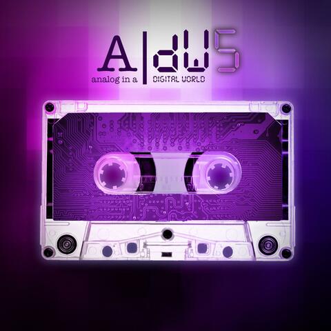 aNALOG iN a dIGITAL wORLD 5