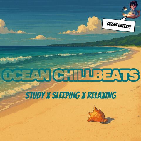 What Happens When You Play Lofi Chill Beats at the Beach?