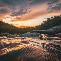 Tranquil Forest at Twilight