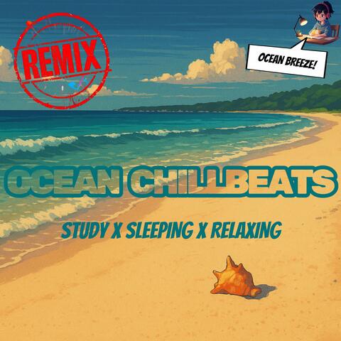 What Happens When You Play Lofi Chill Beats at the Beach? Remix Edition
