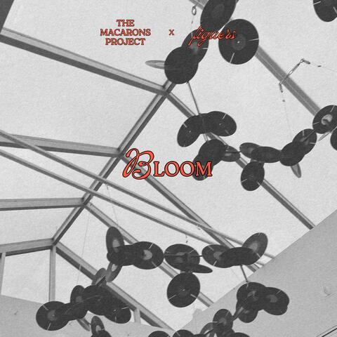 Bloom