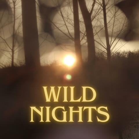 Wild nights -Emily Dickenson (Special Mastered Version)