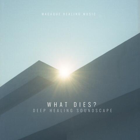 What Dies? (Deep Meditative Soundscape)