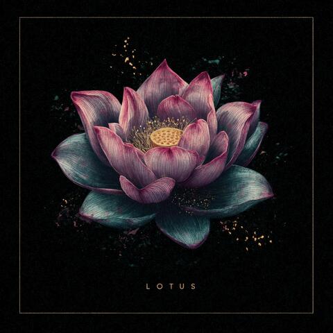 Lotus (Ambient)