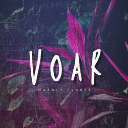 Voar