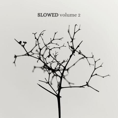 SLOWED volume 2