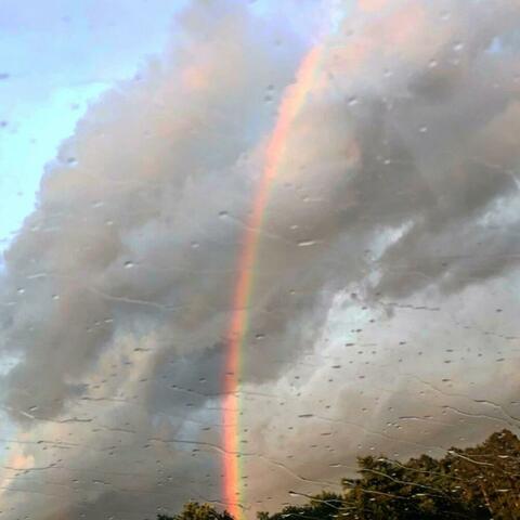 Rainy Day Rainbow