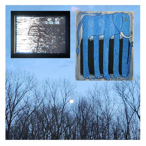 Strike Me Where I Stand (Night Flier)