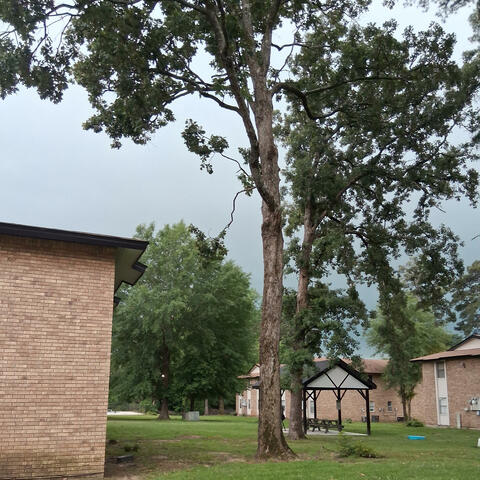 ILL BE FINE (feat. TSHREDS)