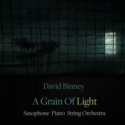 A Grain Of Light