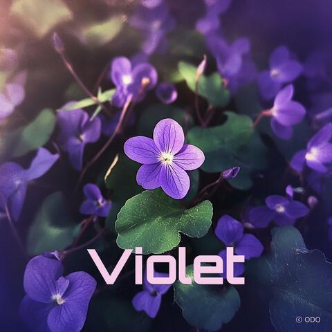 Violet