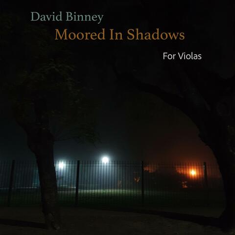 Moored In Shadows