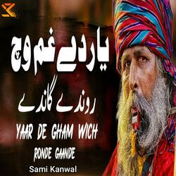 Tu Ki Jaane | Punjabi Poetry Sufiyana Kalam | Sami Kanwal oringnal