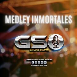 Medley Inmortales (Te esperare, Amor prohibido, Son cosas del amor, Como estas tu)