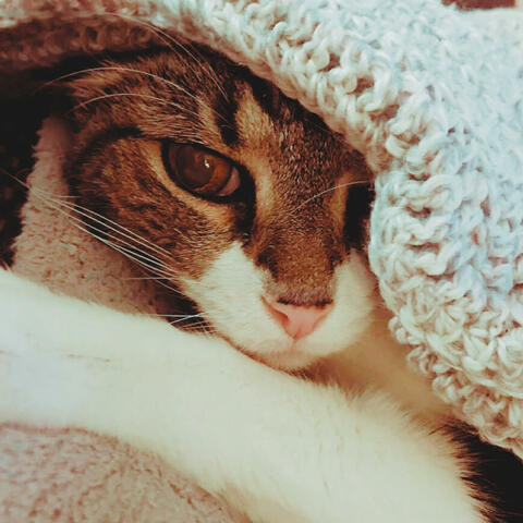 Bingo (My Best Friend)