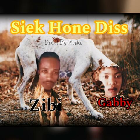 Siek Hone Gabby en Zibi Diss (feat. Nora De Gintsa)