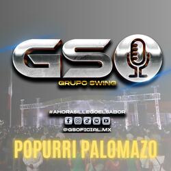 Popurri Palomazo (Juana la cubana, Conga y timbal)