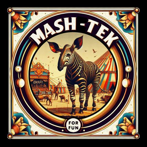 MashTek 4 fun