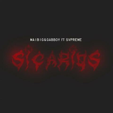 Sicarios
