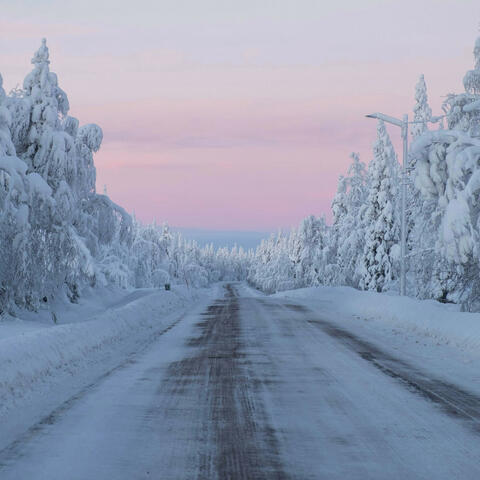 Winter