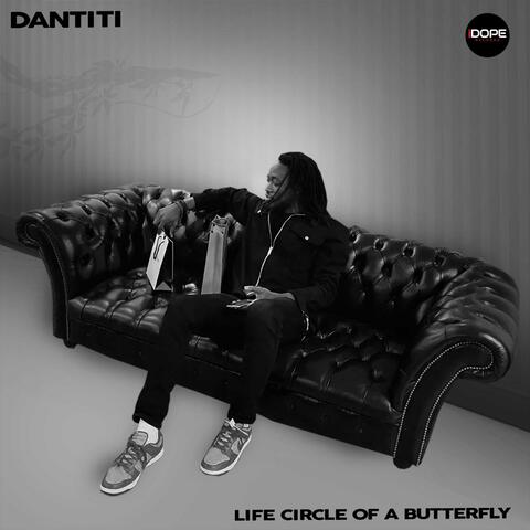 LIFE CYCLE OF A BUTTERFLY