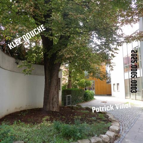 2025.0005.0003 (Accompagnement)