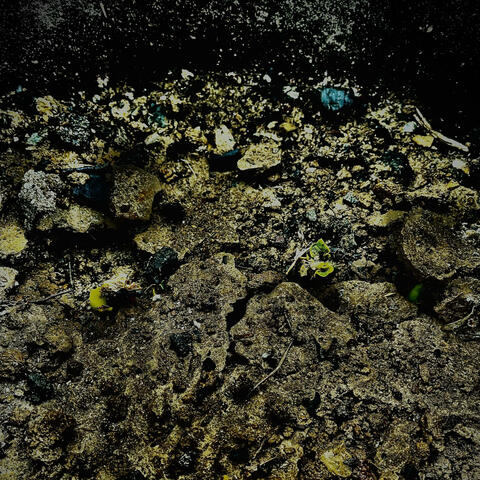 Textures Lost and Found
