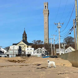 Wake Up! In Provincetown Theme Song