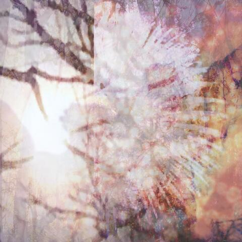 how to dream tonight (ordet)