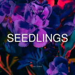Seedlings