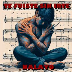 TE FUISTE SIN IRTE
