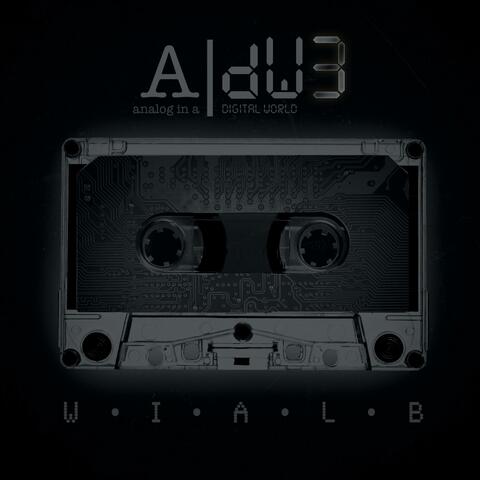 aNALOG iN a dIGITAL wORLD 3