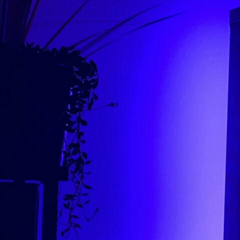ELECTRIC