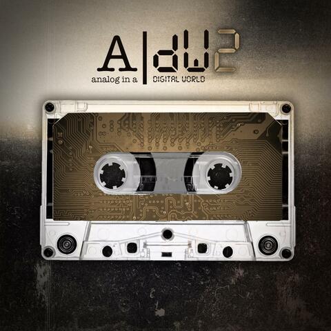 aNALOG iN a dIGITAL wORLD 2
