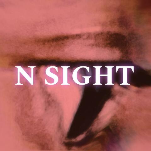 N-SIGHT.