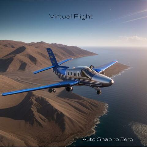 Virtual Flight