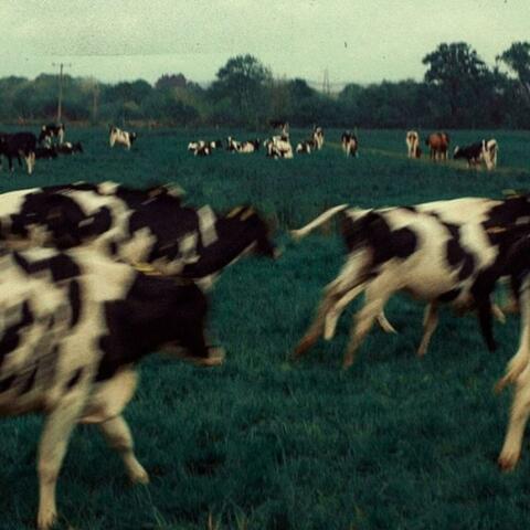 On God (feat. y4 yung, Afrogad Proxy & Cgee)