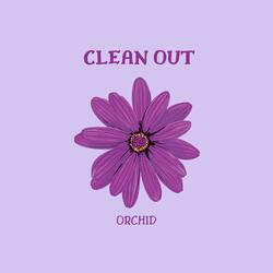 CLEAN OUT