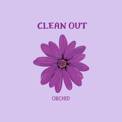 CLEAN OUT